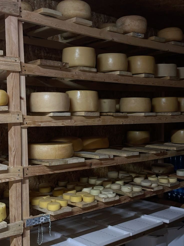 Olej i Ser: Optymalna Konserwacja Twardego Sera